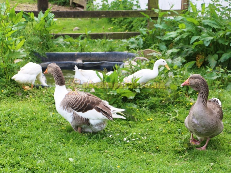 Meadow Lakes Holiday Park