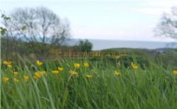 Eisteddfa Caravan And Camping Site