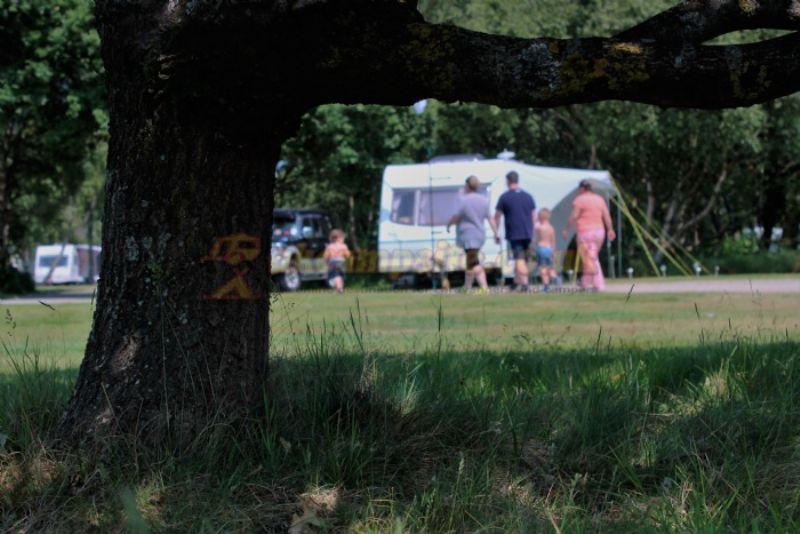 Willowbank Holiday Home And Touring Park