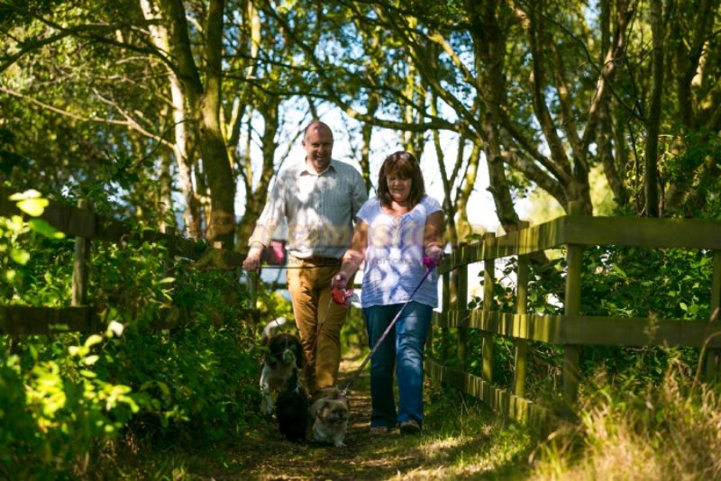 Willowbank Holiday Home And Touring Park