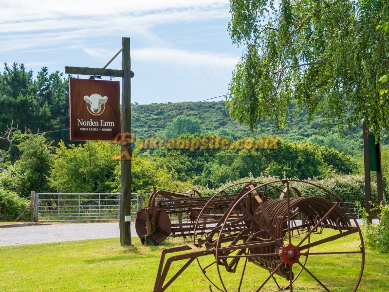Norden Farm Touring Caravan And Camping Site