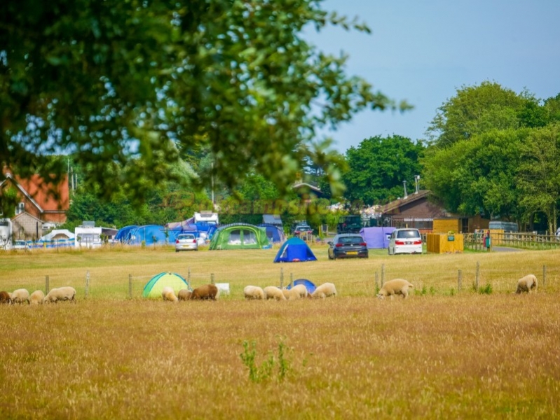 Norden Farm Touring Caravan And Camping Site