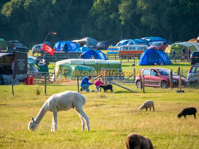 Norden Farm Touring Caravan And Camping Site