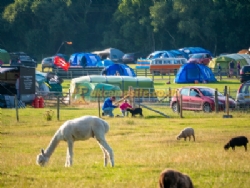 Norden Farm Touring Caravan And Camping Site