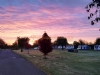 Wombleton Caravan And Camping Park Wombleton Caravan And Camping Park