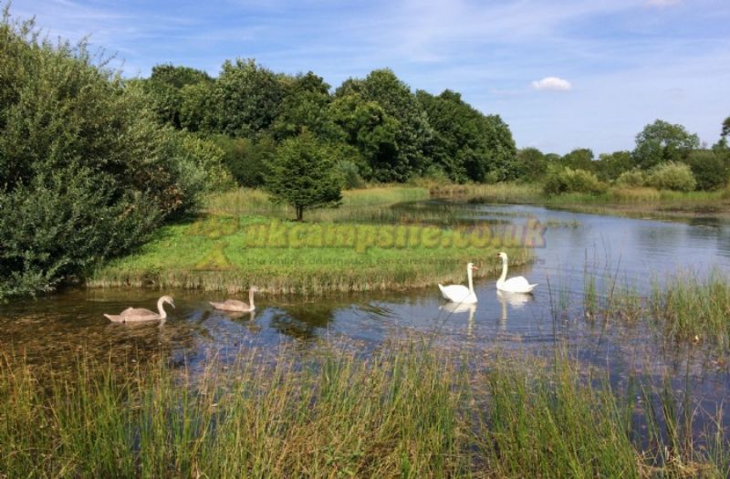 Kingfisher Caravan Park