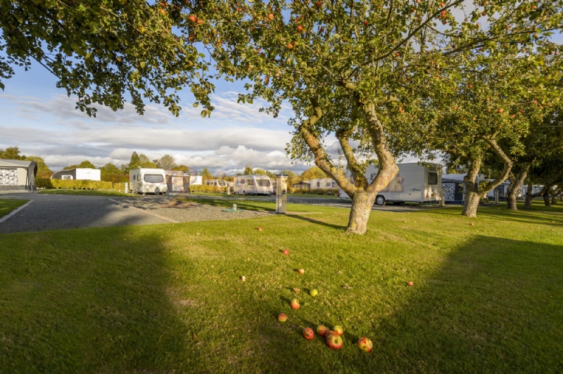 Arrow Bank Holiday Park