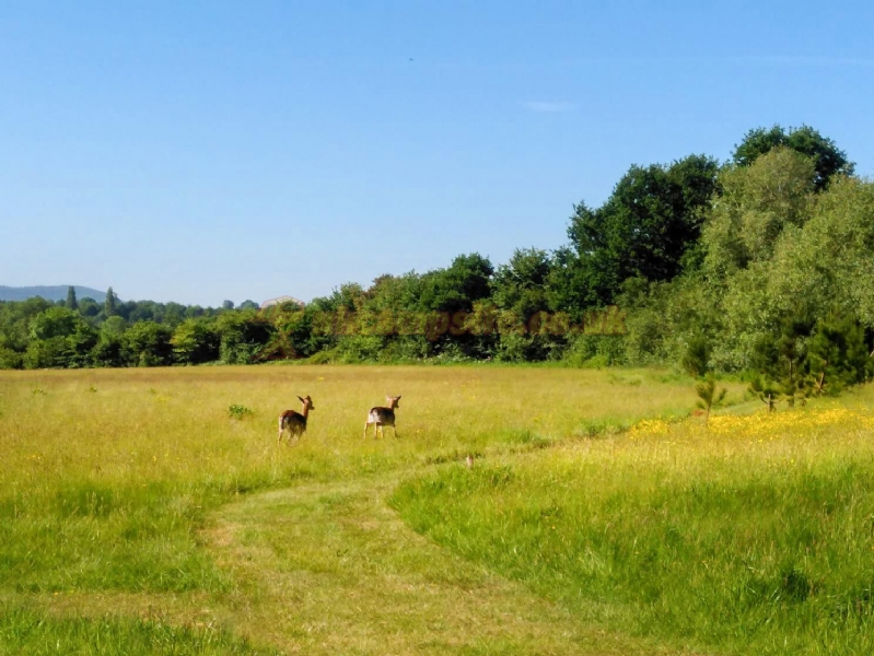 Arrow Bank Holiday Park