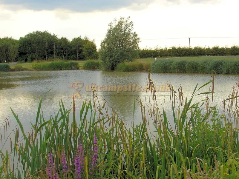 Manor Farm Caravan Park