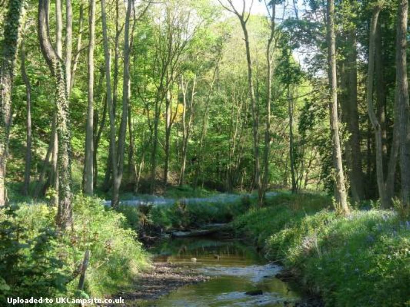Cote Ghyll Caravan And Camping Park
