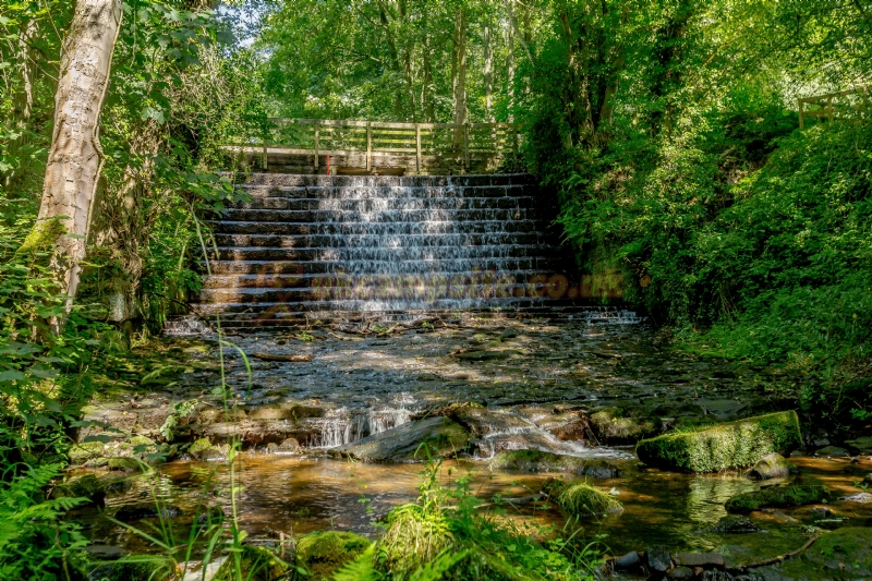 Cote Ghyll Caravan And Camping Park