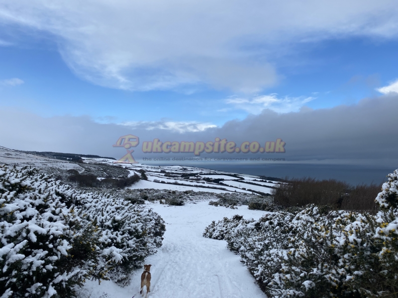 Porlock Holiday Park