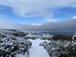 Porlock Holiday Park
