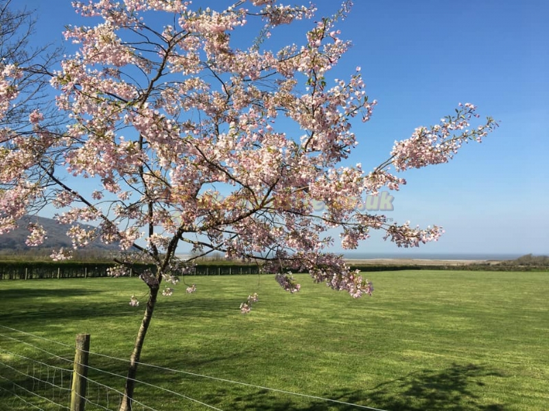 Porlock Holiday Park
