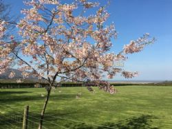 Porlock Holiday Park