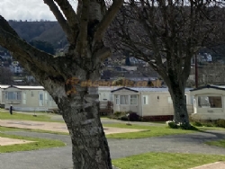 Porlock Holiday Park