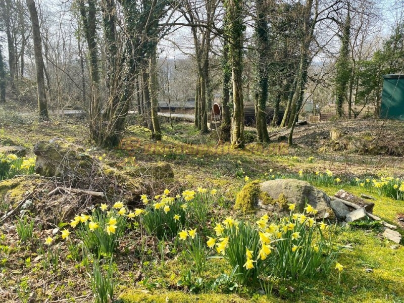 Hill Of Oaks Lodge And Caravan Park