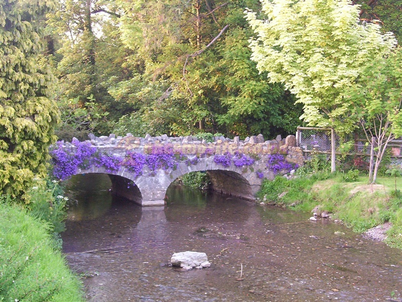 Cheddar Bridge Touring Park