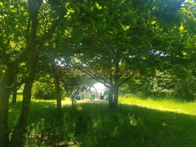 Low Farm Camping And Camping Pods Low Farm Camping And Camping Pods