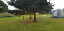 Willow House Caravan Park
