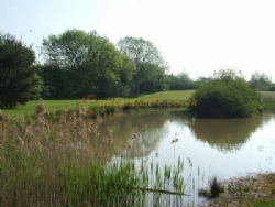 Willow House Caravan Park