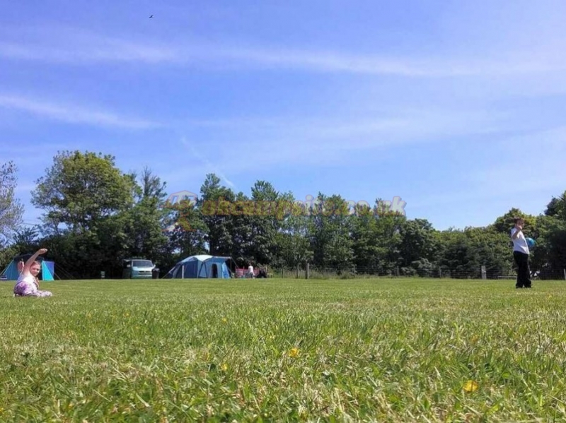 Court Farm Campsite