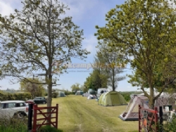Pond Farm Campsite