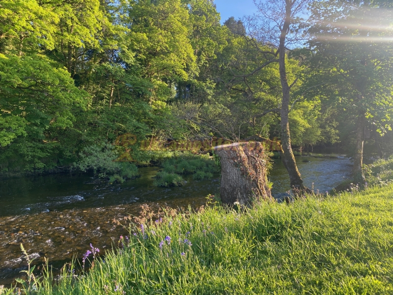 Riverside Caravan And Camping Park