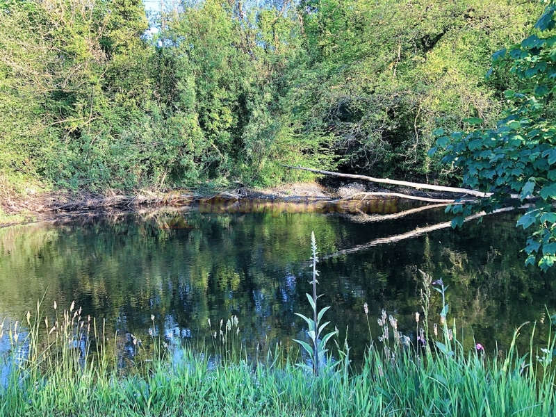 Riverside Caravan And Camping Park