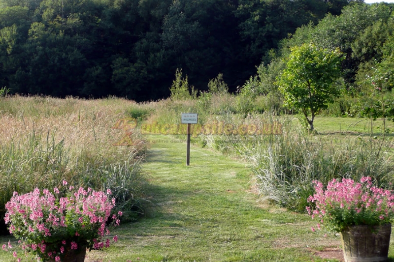 Lowtrow Cross Caravan Camping Site ( Adults Only )