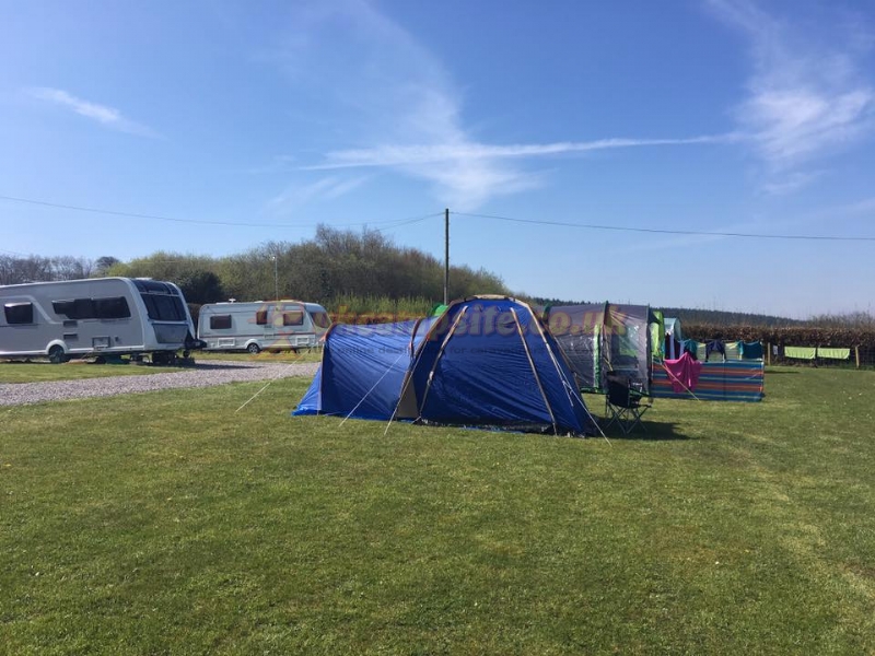Lowtrow Cross Caravan Camping Site ( Adults Only )