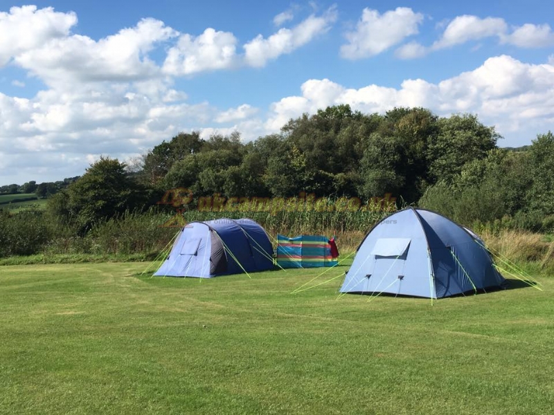 Lowtrow Cross Caravan Camping Site ( Adults Only )