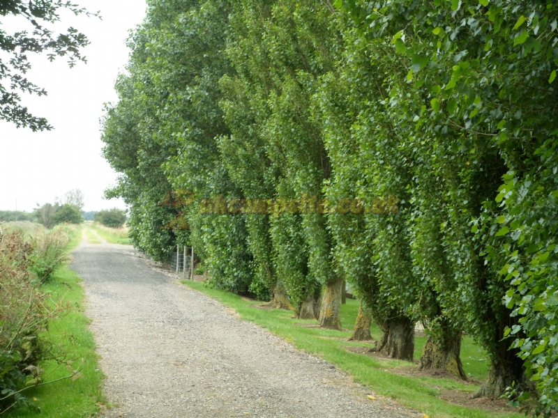Sandholme Lodge Holiday Park