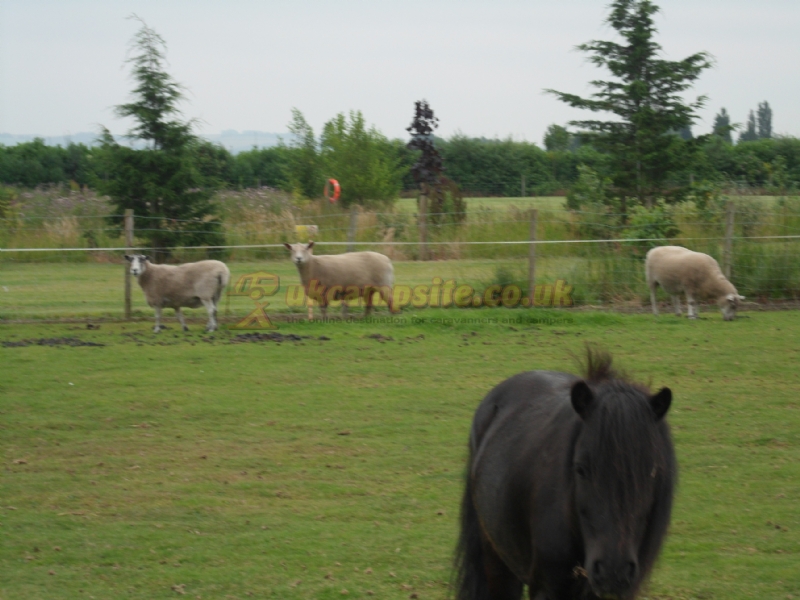 Sandholme Lodge Holiday Park
