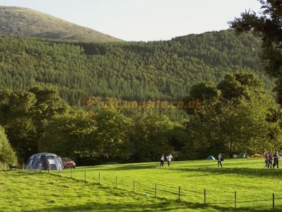 Tollymore Forest Park