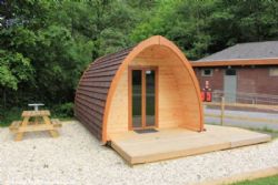 Cwmcarn Forest
