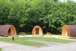 Cwmcarn Forest