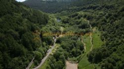 Cwmcarn Forest
