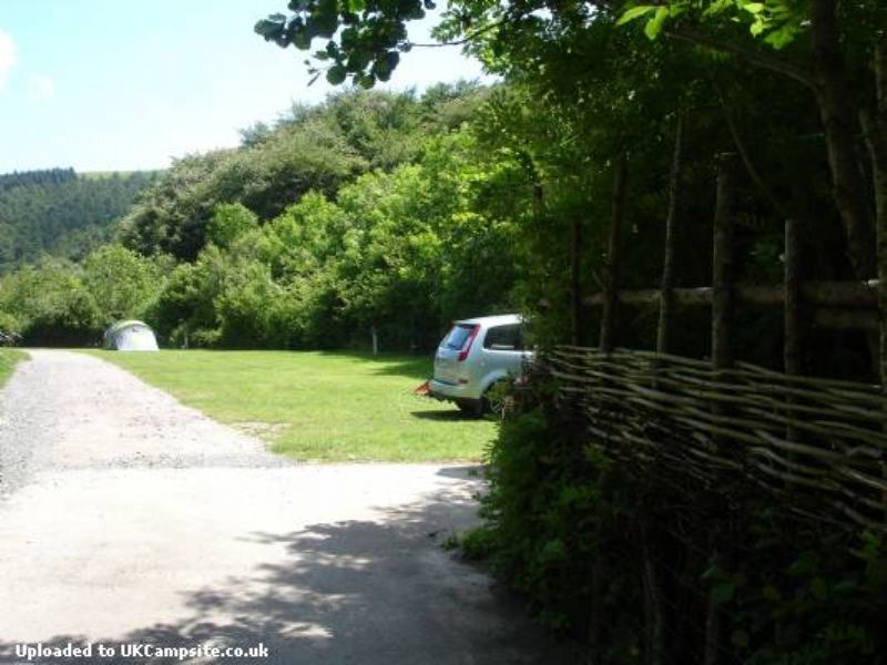 Cwmcarn Forest