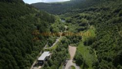 Cwmcarn Forest