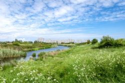 Dovercourt Holiday Park (PHolsUK)
