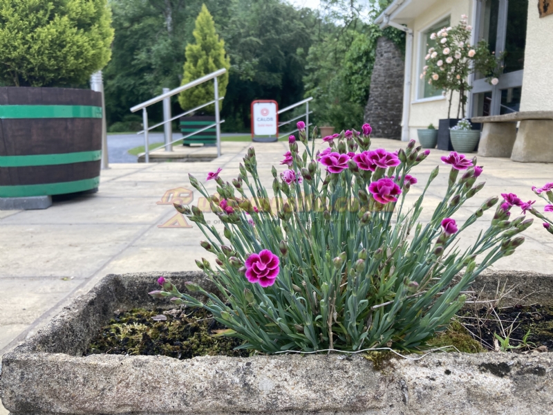 Abermarlais Caravan And Camping Park