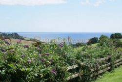 Polperro Holiday Park (PHolsUK)