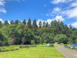 Whitemead Forest Park