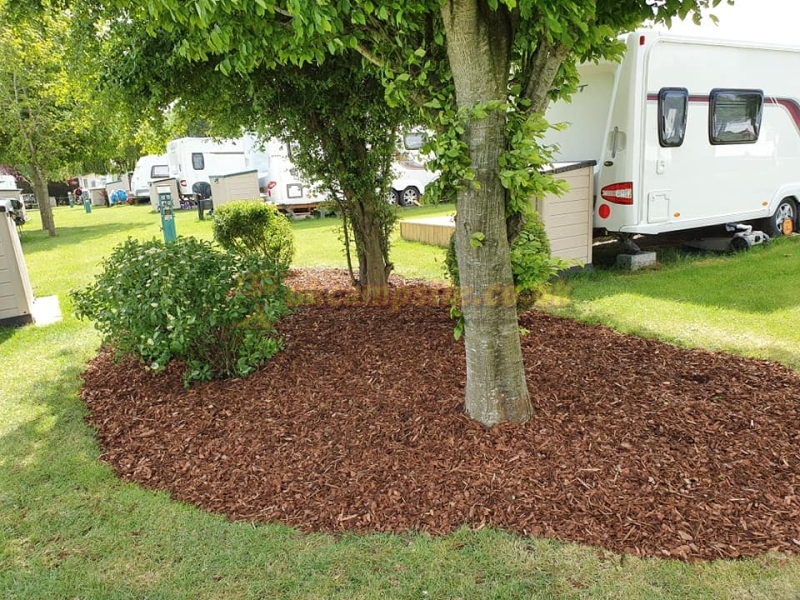 Riverside Caravan Park