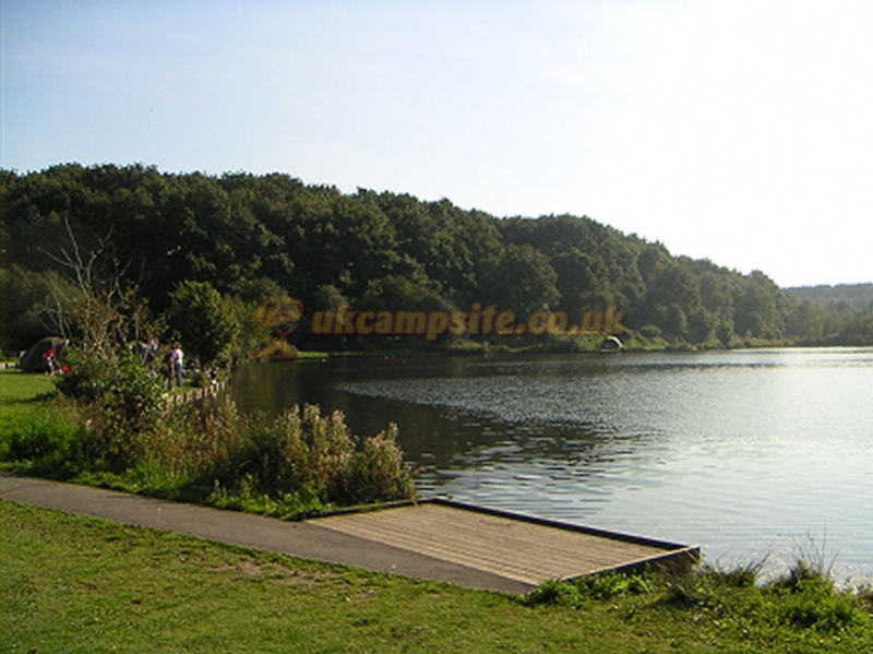 Tall Trees Touring Park