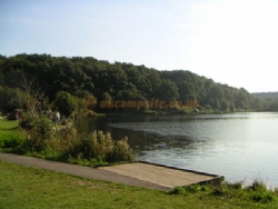 Tall Trees Touring Park