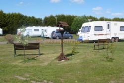 Tall Trees Touring Park
