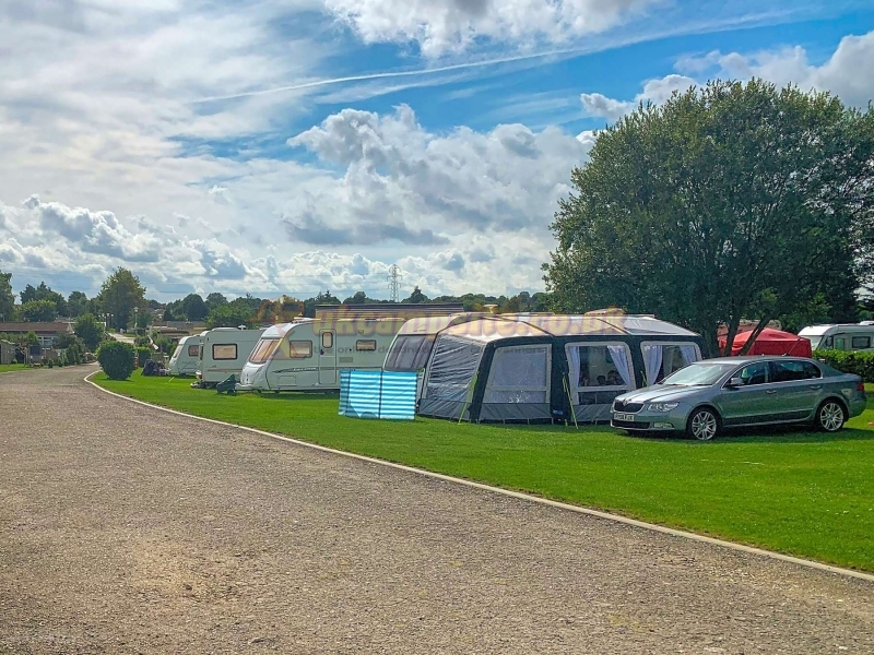 Tall Trees Touring Park