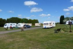 Tall Trees Touring Park
